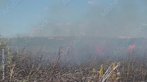 incendio di sterpaglie lungo una strada in estate