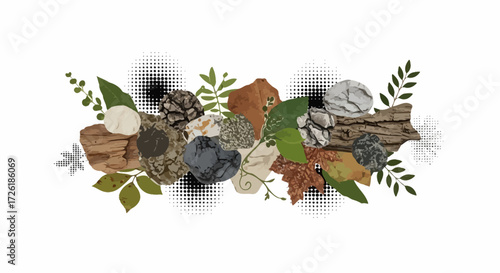 Abstract Composition of Natural Elements and Textures