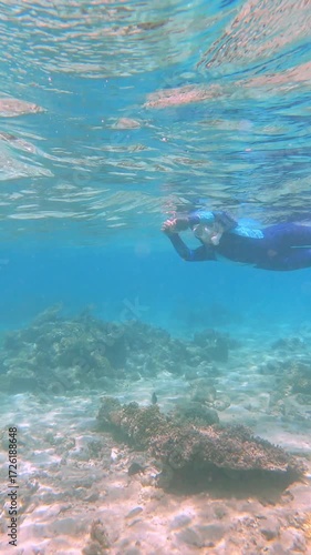 Snorkeler exploring vibrant coral reef underwater