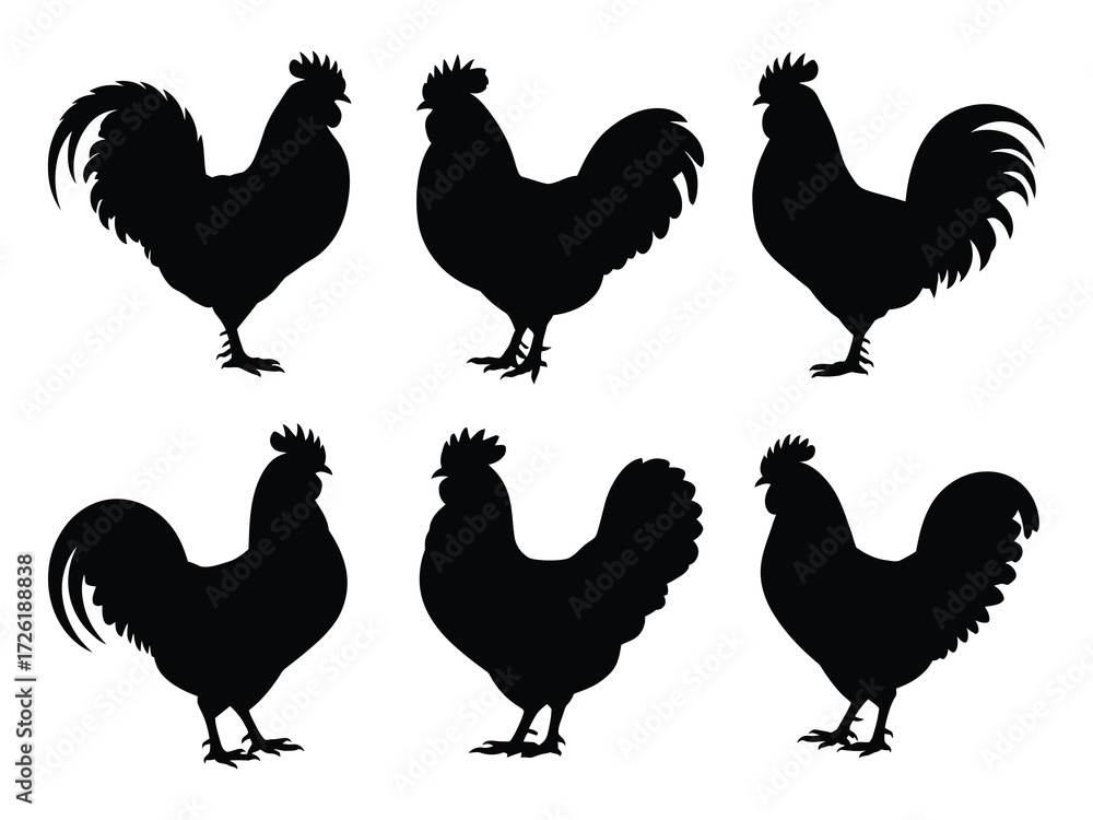 Fototapeta premium Black chicken set vector illustration with detailed farm animal silhouettes for creative design projects