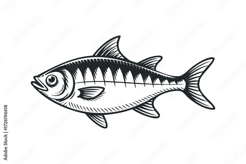 Fototapeta premium Detailed monochrome sketch of a single fish. Vector hand drawn illustration