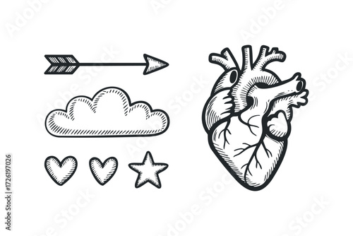 Anatomical Heart with Arrow and Cloud Graphics. Vector hand drawn illustration