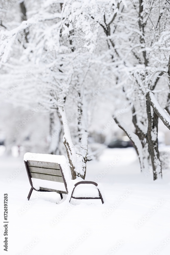 Fototapeta premium Snow-covered bench in a tranquil winter landscape surrounded by frosted trees, creating a serene atmosphere for relaxation and contemplation in a snowy environment