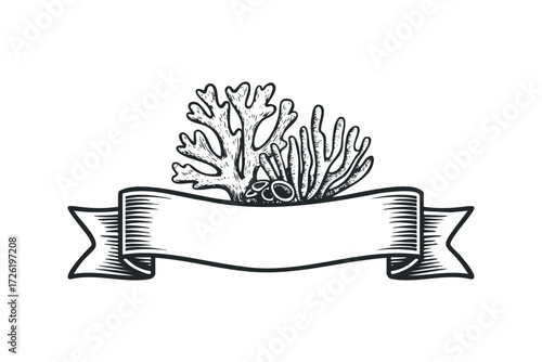 Marine coral and ornate ribbon emblem. Vector hand drawn illustration