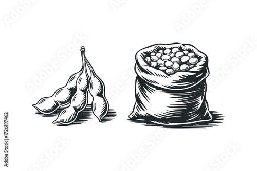 Soybean pods and full sack illustration. Vector hand drawn illustration