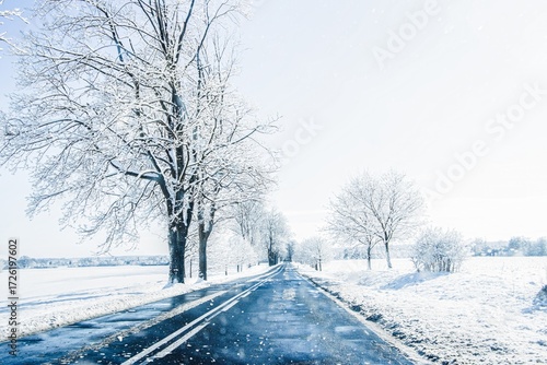 Snow-covered road lined with frosted trees under a bright blue sky, creating a serene winter landscape, inviting exploration and tranquility in nature's beauty