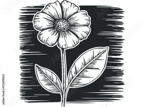 Hand drawn single daisy flower black and white. Vector hand drawn illustration