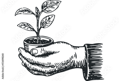 Hand holding a small plant in a pot. Vector hand drawn illustration