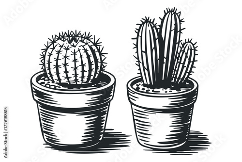 Two Potted Cacti Plant Illustrations with Sketchy Lines. Vector hand drawn illustration