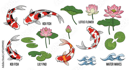 Illustrative vector set of colorful koi fish, delicate lotus flowers, peaceful lily pads, and decorative water ripples, perfect for creating serene nature-themed designs