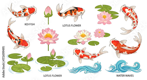 Vector collection of vibrant Japanese koi fish, elegant lotus flowers, serene lily pads, and dynamic water waves, perfect for aquatic and Asian-themed designs and projects