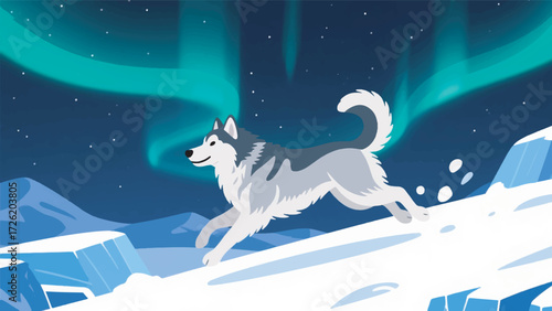 Illustration Of A Thick Haired Husky Running On White Snow With Aurora And Icy Mountains In The Background Vector Design Template