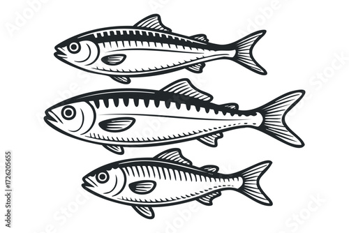 Three line art fish arranged vertically. Vector hand drawn illustration