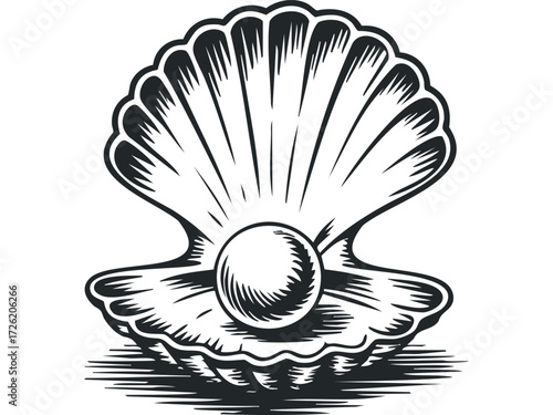 Open Shell With Single Pearl. Vector hand drawn illustration