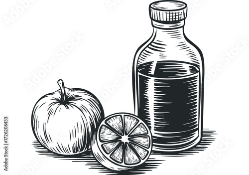 Bottle of dark liquid next to apple and sliced citrus fruit. Vector hand drawn illustration