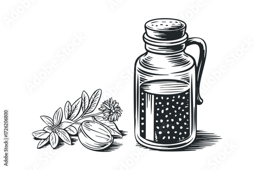 Herbal remedy in glass vial with plant sprig and fruit. Vector hand drawn illustration