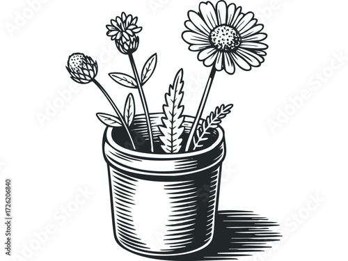 Black and white drawing of wild flowers in a pot. Vector hand drawn illustration