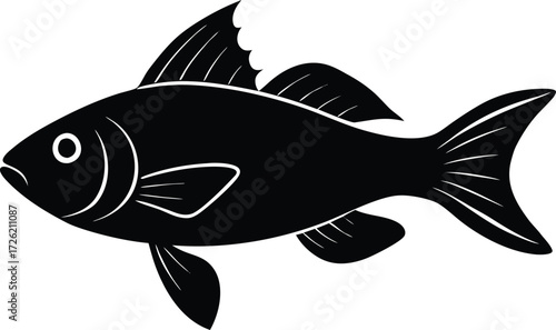 algae fish elegant fins black silhouette vector on.eps