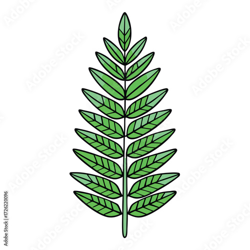 a minimalist illustration of a green fern with del.eps