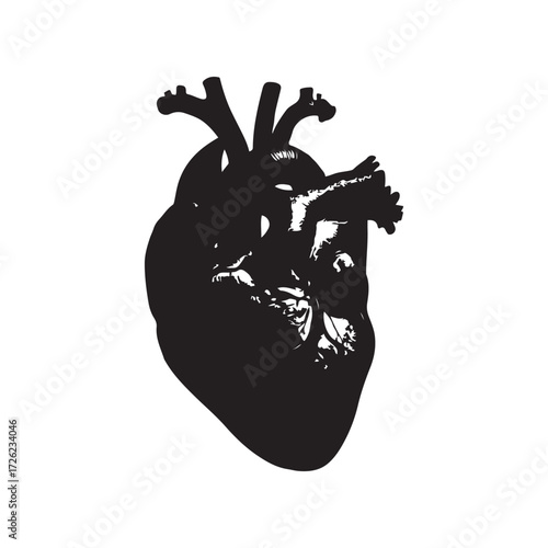 Anatomical Heart Silhouette in Black and White Detail