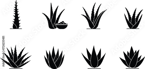 Aloe vera silhouette vector set, herbal plant icons, medicinal leaf shapes, natural remedy illustration, botanical elements for skincare, health, wellness design