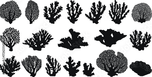 Coral silhouette vector pack, marine reef icons, ocean biodiversity shapes, underwater nature graphics, editable coral illustrations, black sea life elements, isolated design