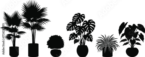 Indoor potted plant silhouette vector set, botanical icons, home decor foliage, tropical leaf shapes, minimalist houseplant illustration for design, nature, wellness