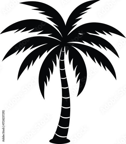 tropical palm tree with curved trunk and coconuts .eps