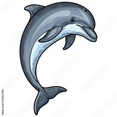 Vector Illustration of Dolphin in Realistic Style with Blue Gray Colors for Marine Wildlife Design