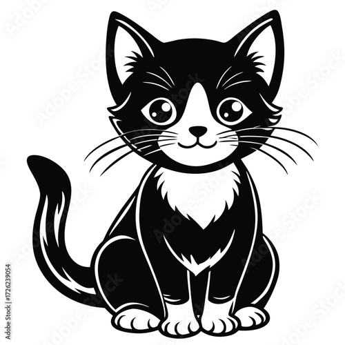 black and white cat