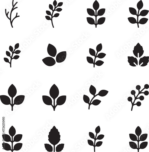 Botanical Elegance: A refined arrangement of stylized botanical elements, embodying the simplistic beauty of natural forms. 