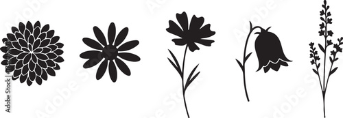 Silhouette of Flowers: A striking monochrome composition unveils an array of elegant flowers and delicate floral elements, evoking a sense of understated elegance.