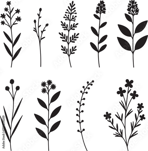 Floral Vector Silhouettes: A collection of elegant floral vector silhouettes, perfect for adding a touch of nature-inspired beauty to your designs. This curated set presents a minimalist aesthetic.