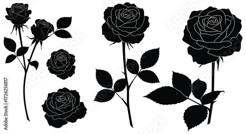 Elegant collection of black rose blooms and stems a striking silhouette