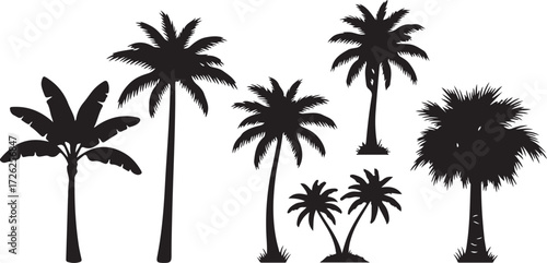 Tropical Palm Tree Silhouettes: A collection of diverse palm tree silhouettes evoke tropical vibes with their iconic shapes, symbolizing serene vacation and warm climates.