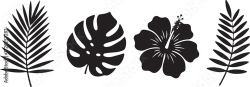 Tropical floral beauty silhouette set: Black silhouette of tropical flowers, leaves featuring hibiscus and Monstera deliciosa leaves, create a clean and vibrant pattern. 