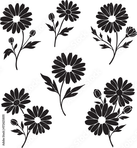 Floral Silhouette Composition: A detailed artistic illustration of six daisy flower stalks, showcasing intricate details in a bold silhouette.