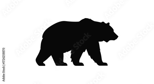A dark bear stands powerfully on all fours a striking silhouette