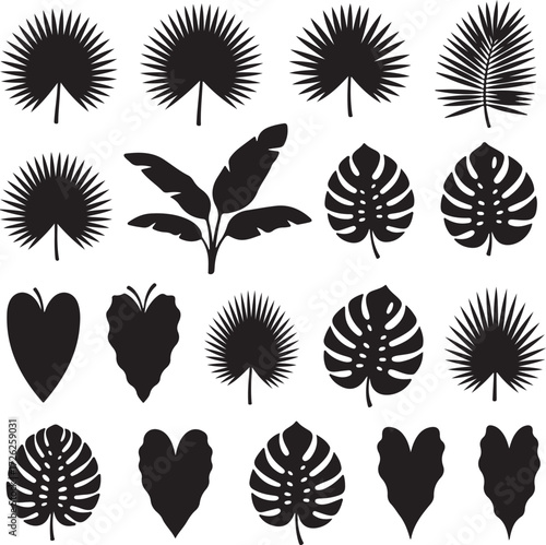 Tropical Foliage Silhouettes: Elegant silhouettes of tropical leaves showcase the diverse beauty of tropical flora, ideal for design projects centered on nature, exotic destinations, and plant life.