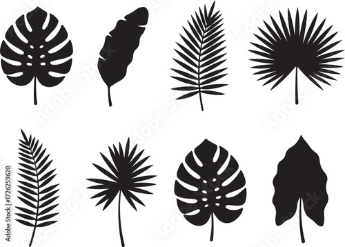 Exotic Leaves Silhouettes: A collection of vibrant, graphic leaf silhouettes, perfect for design projects or conveying the beauty and diversity of the natural world.