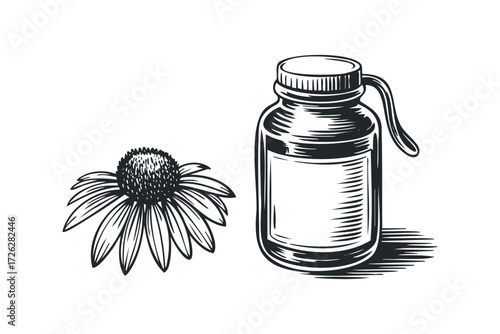 Echinacea flower with medicine bottle sketch. Vector hand drawn illustration