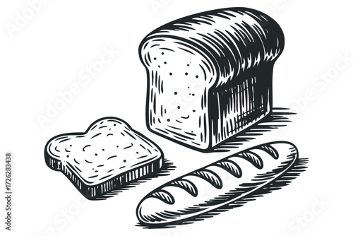Loaf of bread and sliced bread with baguette. Vector hand drawn illustration