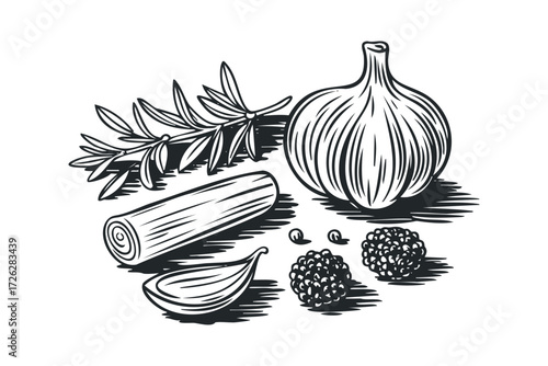 Garlic bulb, rosemary sprig, peppercorns, and cinnamon stick. Vector hand drawn illustration