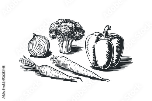 Group of fresh vegetables including bell pepper onion carrots and broccoli. Vector hand drawn illustration