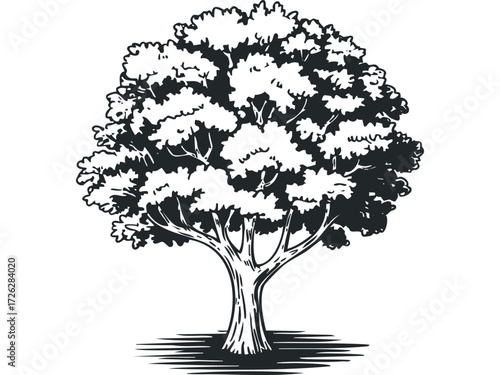 Black and white stylized tree with full foliage and strong branches. Vector hand drawn illustration