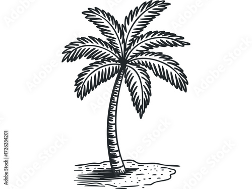 Isolated palm tree graphic on sandy ground. Vector hand drawn illustration