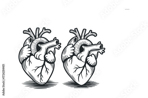 Stylized Human Heart Outline Pair on White. Vector hand drawn illustration