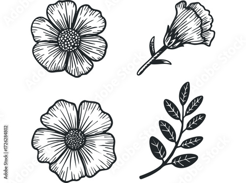 Black and White Floral and Leaf Line Art Arrangement. Vector hand drawn illustration