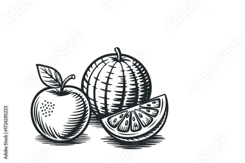 Black and white illustration of an apple and citrus fruit slice. Vector hand drawn illustration