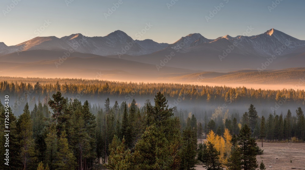 Fototapeta premium A misty sunrise over a dense pine forest with distant mountains under a clear sky, creating a tranquil and scenic natural landscape